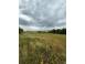 Teren de vanzare luna de sus 926746 poza 4